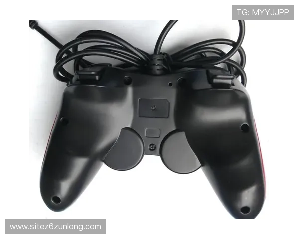 如何通过尊龙官方旗舰店快速找到心仪的游戏周边商品与客户服务