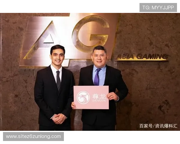 d88尊龙集团客户服务体系详解为玩家提供全方位的技术支持与问题解决方案